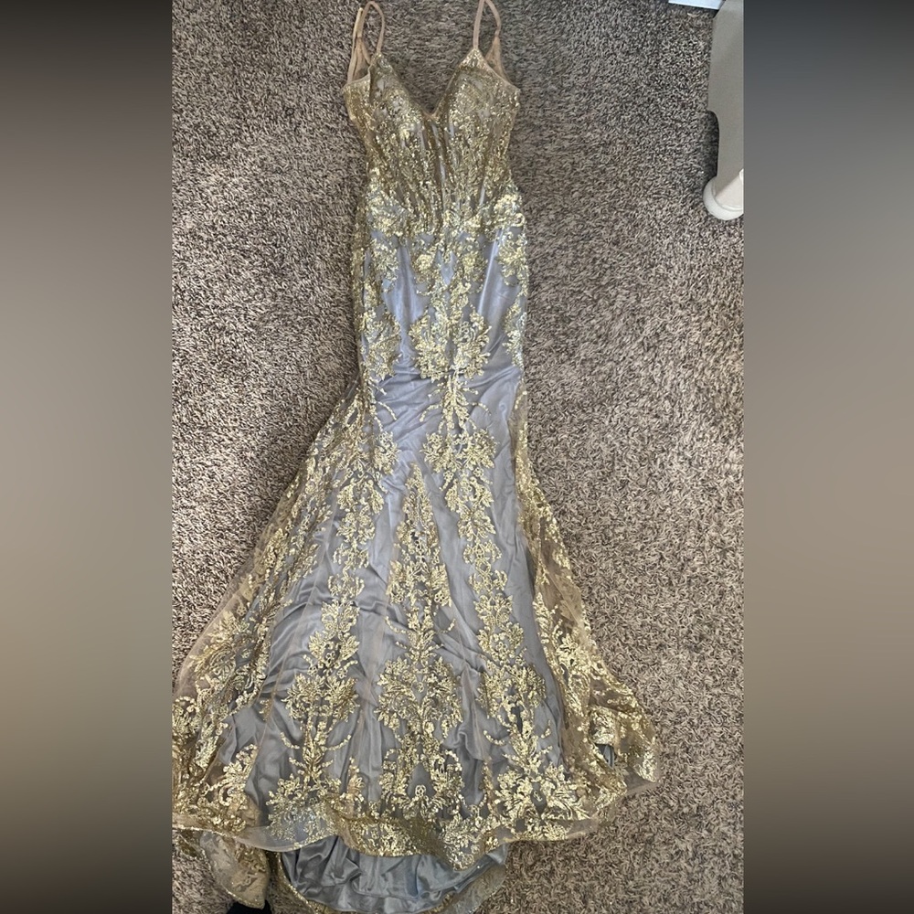 Elegant Gold and Silver Gown